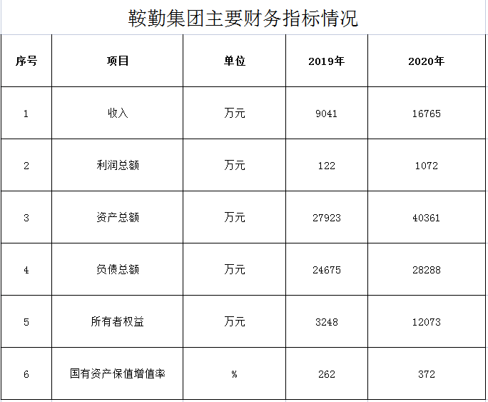 尊龙凯时2019年度-2020年度财务指标情况